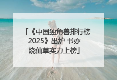 《中国独角兽排行榜2025》出炉 书亦烧仙草实力上榜
