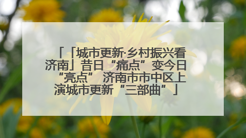 「城市更新·乡村振兴看济南」昔日“痛点”变今日“亮点” 济南市市中区上演城市更新“三部曲”