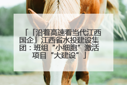 「沿着高速看当代江西国企」江西省水投建设集团：班组“小细胞”激活项目“大建设”