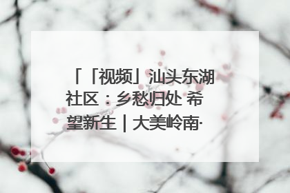 「视频」汕头东湖社区：乡愁归处 希望新生｜大美岭南·百村焕新记