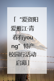 “爱资阳爱雁江·青春有young”特产校园行活动启幕