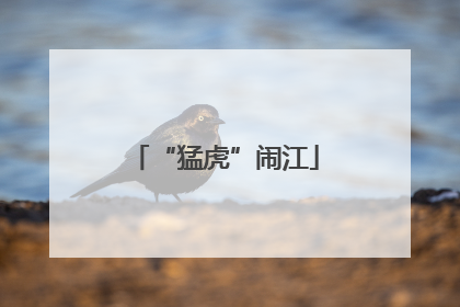 “猛虎”闹江