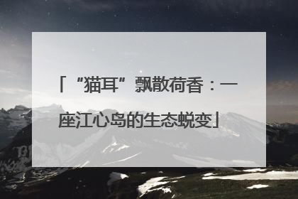 “猫耳”飘散荷香：一座江心岛的生态蜕变
