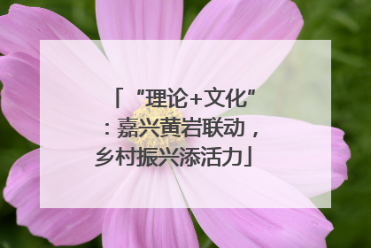 “理论+文化”：嘉兴黄岩联动，乡村振兴添活力