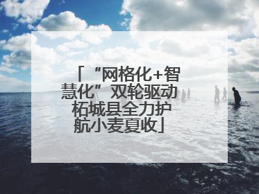 “网格化+智慧化”双轮驱动 柘城县全力护航小麦夏收