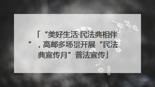 “美好生活·民法典相伴”，高邮多场景开展“民法典宣传月”普法宣传