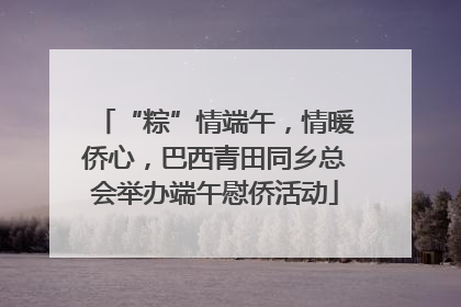 “粽”情端午，情暖侨心，巴西青田同乡总会举办端午慰侨活动