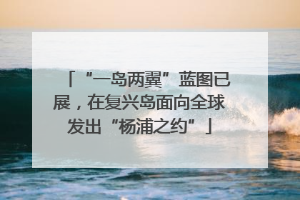 “一岛两翼”蓝图已展，在复兴岛面向全球发出“杨浦之约”