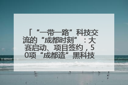 “一带一路”科技交流的“成都时刻”：大赛启动、项目签约，50项“成都造”黑科技吸引多国客商