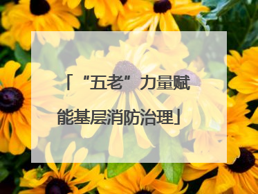 “五老”力量赋能基层消防治理