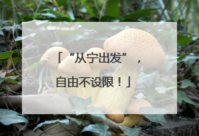 “从宁出发”，自由不设限！