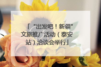 “出发吧！新疆”文旅推广活动（泰安站）洽谈会举行