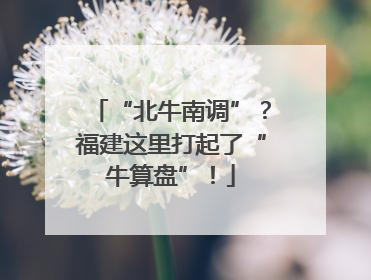 “北牛南调”？福建这里打起了“牛算盘”！