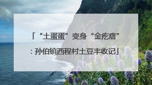 “土蛋蛋”变身“金疙瘩”：孙伯镇西程村土豆丰收记