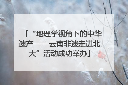 “地理学视角下的中华遗产——云南非遗走进北大”活动成功举办