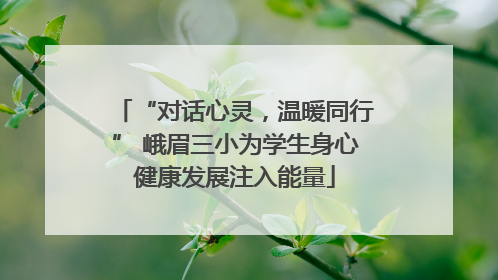 “对话心灵，温暖同行” 峨眉三小为学生身心健康发展注入能量