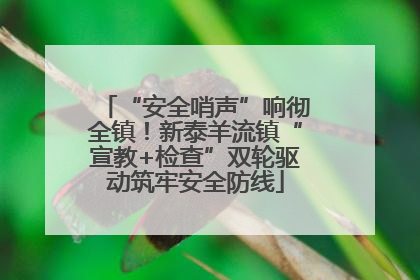 “安全哨声”响彻全镇！新泰羊流镇“宣教+检查”双轮驱动筑牢安全防线