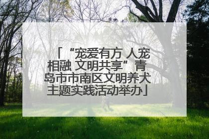 “宠爱有方 人宠相融 文明共享”青岛市市南区文明养犬主题实践活动举办