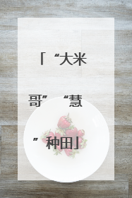 “大米哥”“慧”种田