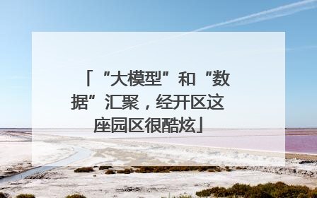 “大模型”和“数据”汇聚，经开区这座园区很酷炫