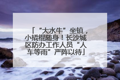 “大水牛”坐镇，小撬棍随身！长沙城区防办工作人员“人车等雨”严阵以待