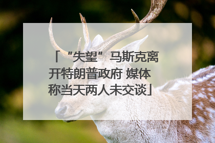 “失望”马斯克离开特朗普政府 媒体称当天两人未交谈