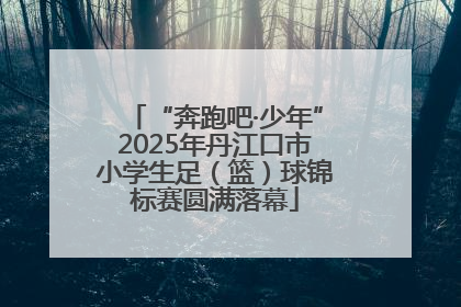 “奔跑吧·少年”2025年丹江口市小学生足（篮）球锦标赛圆满落幕
