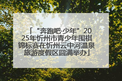 “奔跑吧·少年”2025年忻州市青少年围棋锦标赛在忻州云中河温泉旅游度假区圆满举办