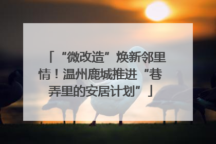 “微改造”焕新邻里情！温州鹿城推进“巷弄里的安居计划”