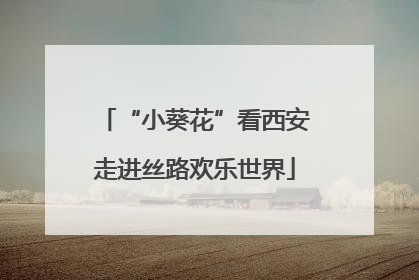 “小葵花”看西安走进丝路欢乐世界