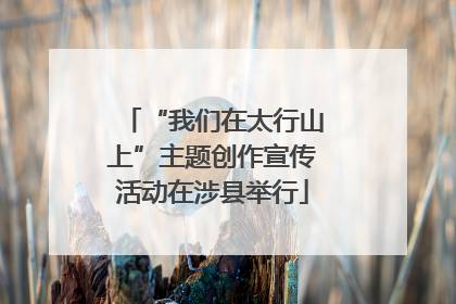 “我们在太行山上”主题创作宣传活动在涉县举行