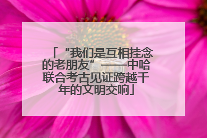 “我们是互相挂念的老朋友”——中哈联合考古见证跨越千年的文明交响