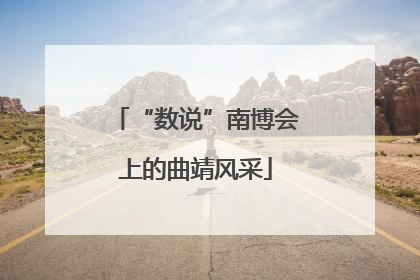 “数说”南博会上的曲靖风采