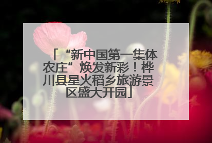 “新中国第一集体农庄”焕发新彩！桦川县星火稻乡旅游景区盛大开园