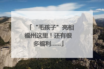 “毛孩子”亮相福州这里！还有很多福利……