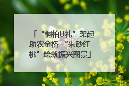 “桐柏U礼”架起助农金桥 “朱砂红桃”绘就振兴图景