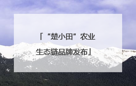 “楚小田”农业生态链品牌发布