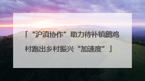 “沪滇协作”助力待补镇鹧鸡村跑出乡村振兴“加速度”