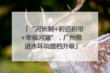 “河长制+碧道碧带+幸福河湖”，广州推进水环境提档升级