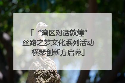 “湾区对话敦煌” 丝路之梦文化系列活动横琴创新方启幕
