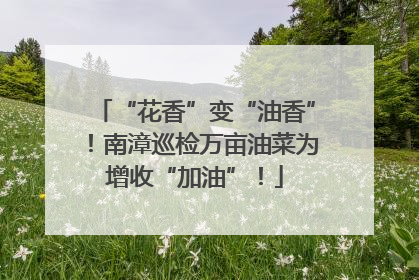 “花香”变“油香”！南漳巡检万亩油菜为增收“加油”！