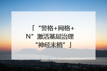 “警格+网格+N”激活基层治理“神经末梢”