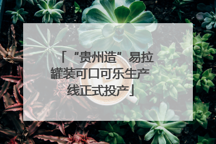 “贵州造”易拉罐装可口可乐生产线正式投产