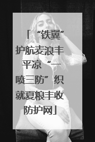 “铁翼”护航麦浪丰 平凉“一喷三防”织就夏粮丰收防护网
