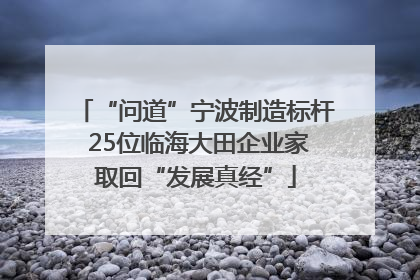 “问道”宁波制造标杆 25位临海大田企业家取回“发展真经”