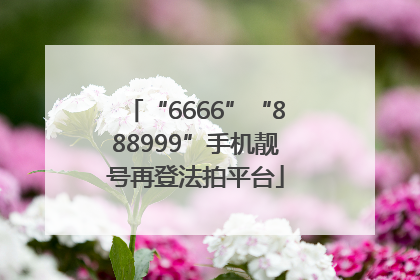 “6666”“888999”手机靓号再登法拍平台