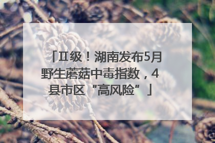 Ⅱ级！湖南发布5月野生蘑菇中毒指数，4县市区“高风险”