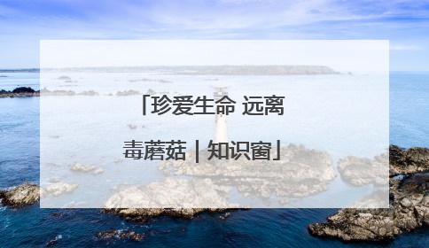 珍爱生命 远离毒蘑菇｜知识窗