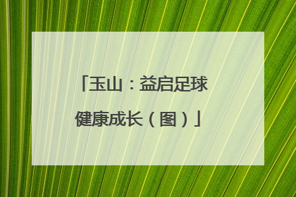 玉山：益启足球 健康成长（图）