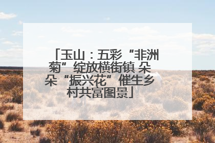 玉山：五彩“非洲菊”绽放横街镇 朵朵“振兴花”催生乡村共富图景